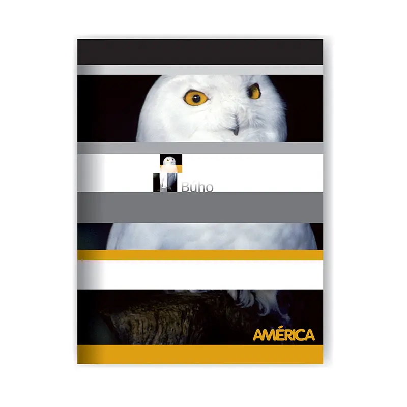 Cuaderno América tapa flexible, 16x21cm. 24 hojas rayadas